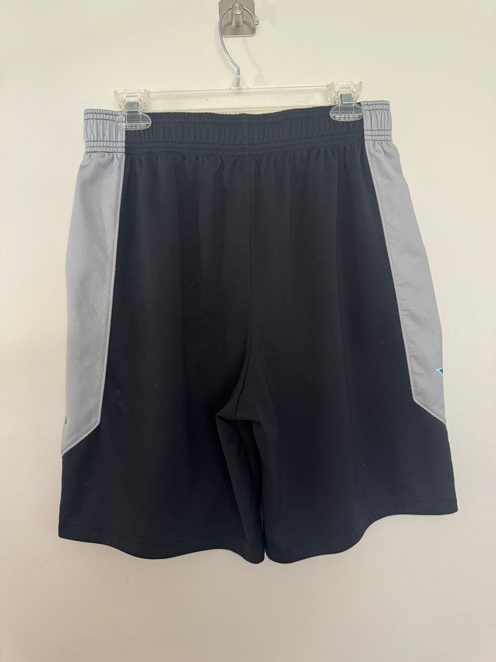Nike Jordan Authentic 2019 NBA All-Star Practice Shorts, Charlotte
